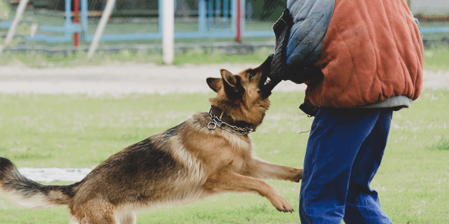 Apartment Complex Dog Bite Accident Lawyers Serving Fort Lauderdale